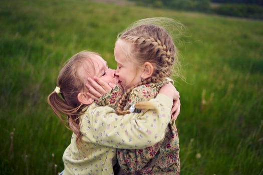 two sisters hug and kiss in the field photo