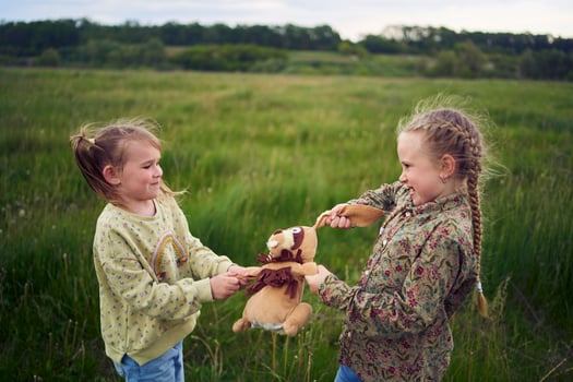 sisters fight over a toy bunny photo