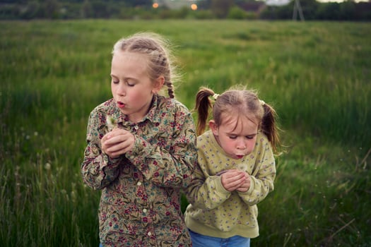 beautiful blonde sisters play with a dandelion in the field photo