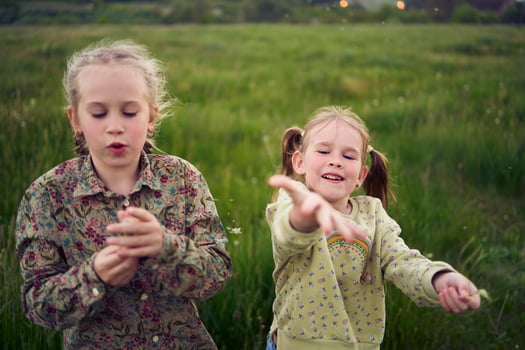 beautiful blonde sisters play with a dandelion in the field photo