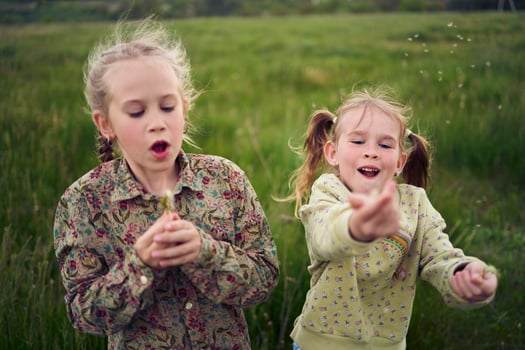 beautiful blonde sisters play with a dandelion in the field photo