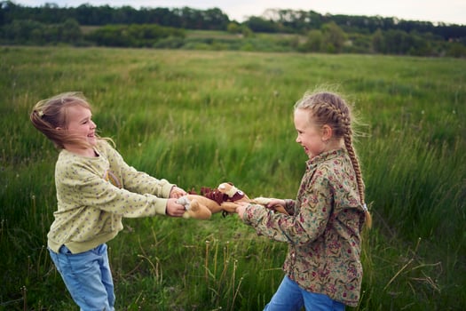 sisters fight over a toy bunny photo