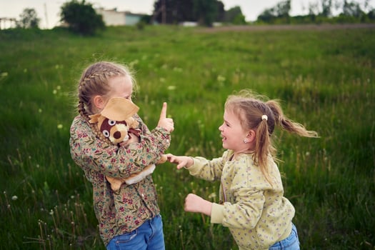 sisters fight over a toy bunny photo