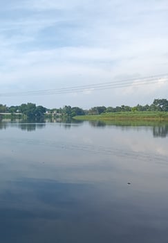 A Serenity by the Rural Lake photo