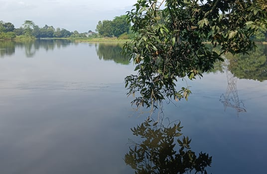 A Serenity by the Rural Lake photo