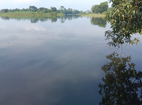 A Serenity by the Rural Lake photo