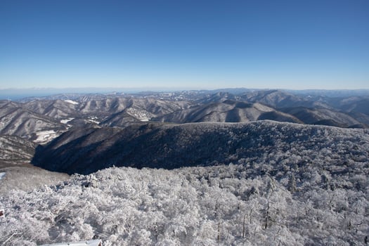 Mountain with the hoarfrost on the trees at Yongpyong Ski Resort, Mountain Winter South in Korea. photo