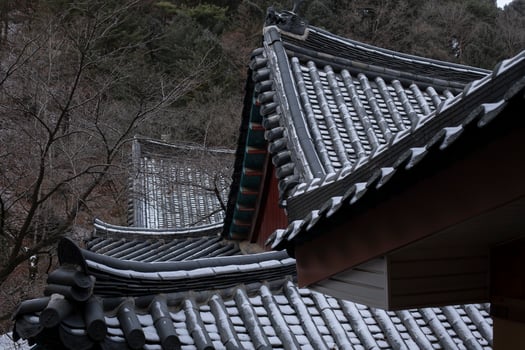 Roof of traditional Korean houses, Korean ancient architecture, snow, trees, and Korean-style houses photo