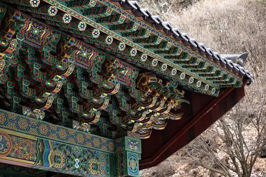 Roof of traditional Korean houses, Korean ancient architecture, snow, trees, and Korean-style houses photo