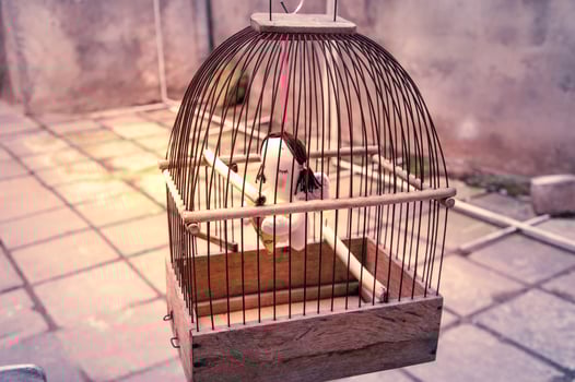 Tilda toy angel in the cage photo
