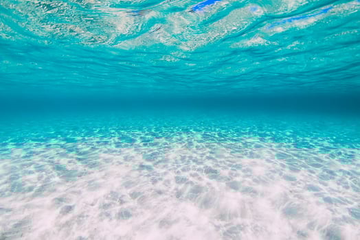 Tropical transparent ocean with sand underwater in Hawaii photo