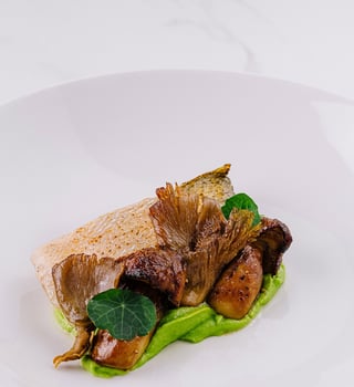 Gourmet seared fish fillet on pea puree photo