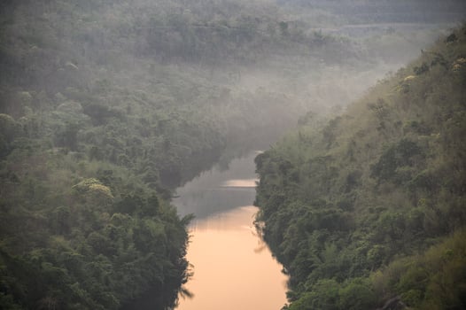 Scenery of river in rainforest valley with foggy photo
