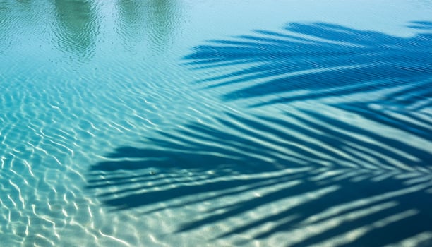 Shadows of palm leaves on Rippling blue Water Surface, tropical background photo