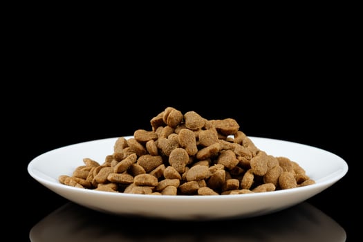 Cat food on a white plate. Animal feed. photo
