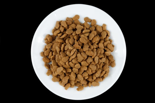 Cat food on a white plate. Animal feed. photo