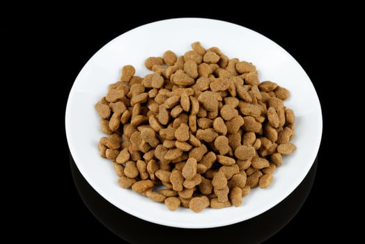 Cat food on a white plate. Animal feed. photo