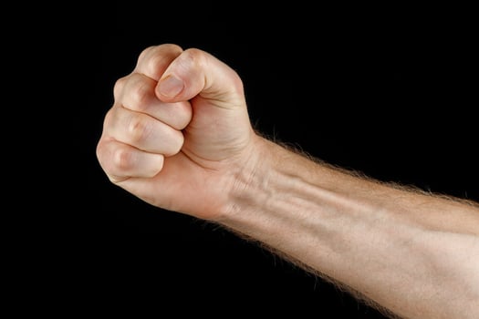 Hand and fist as a symbol of protest photo