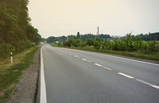 Empty asphalt road and floral field of different grass and flowers in evening time photo