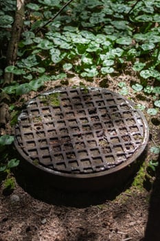 manhole cover in the forest photo