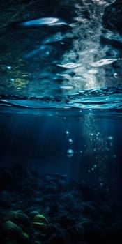 Underwater sunlight and fish in the sea photo