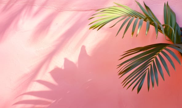 Palm leaf casting a shadow on a textured vibrant pink wall. Tropical plant against vivid backdrop. Bright summer tropical background. Concept of nature, simplicity. Mockup for design. Space for text photo