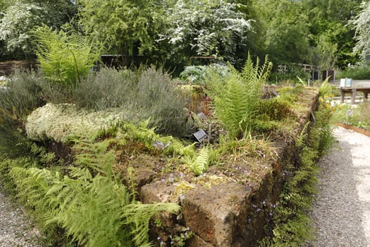 natural botanical garden photo