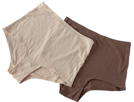 Panties isolated. Classic women's underwear in beige. Cotton jersey. photo