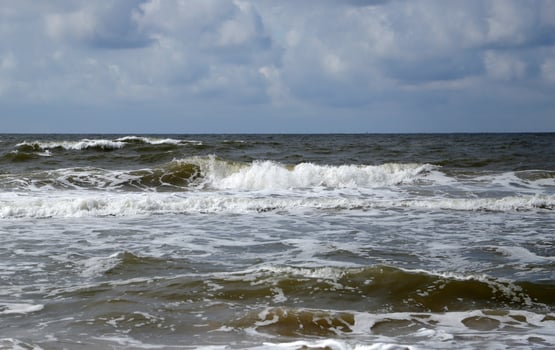 village petten at the north sea, the netherlands, photo