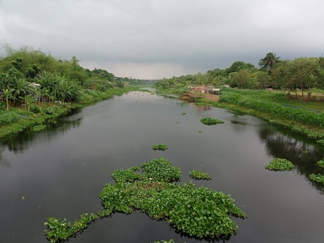Tranquil river landscape surrounded by trees photo
