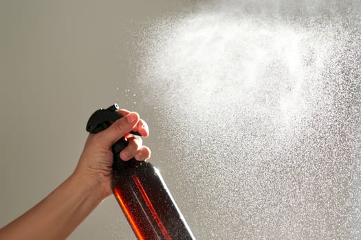 A woman's hand sprays an air freshener in a room. photo