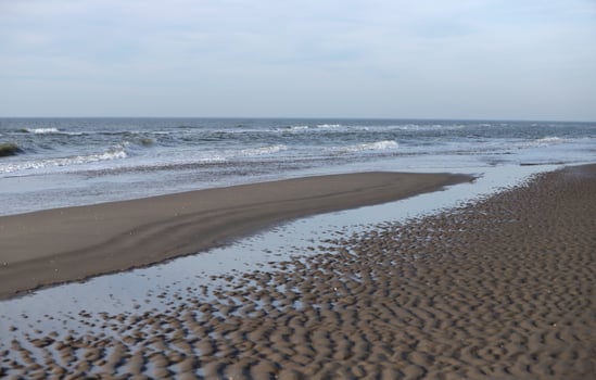 low tide, beach in the winter, netherlands photo