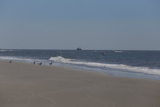 sailboat on the north sea, seen from the shore photo