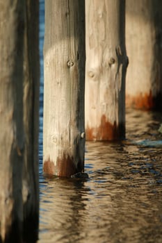 poles in the the north sea at petten, the netherlands photo