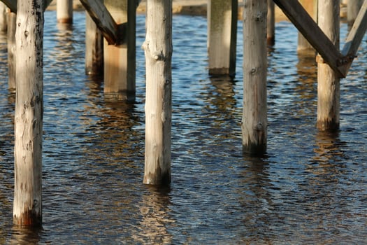 poles in the the north sea at petten, the netherlands photo