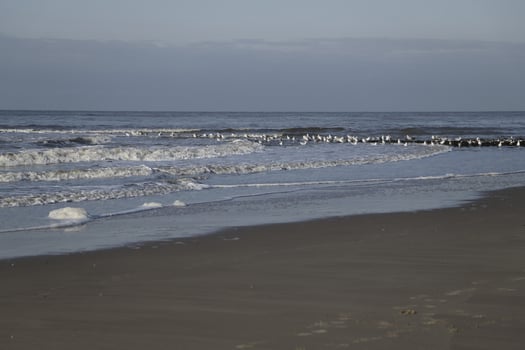 low tide at the beach of sint maartenszee, the netherlands photo