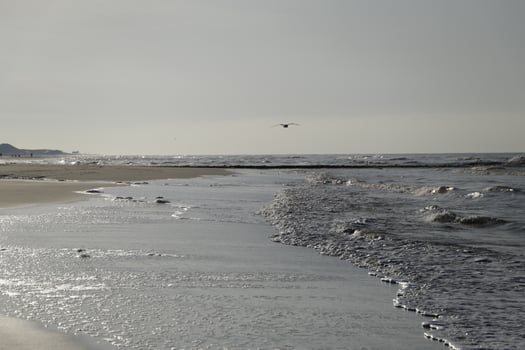 low tide at the beach of sint maartenszee, the netherlands photo