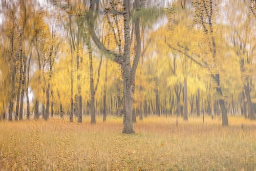 Day park with yellow maple leaves, pavement and benches behind wet rainy glass in golden autumn. The concept of bad weather, change of season and leaf fall. Abstract landscape. photo