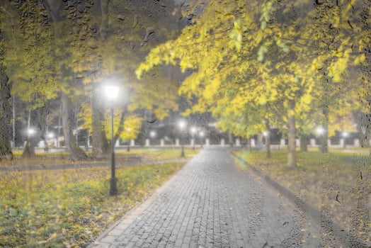 Night rainy park with yellow maple leaves, pavement and lanterns behind wet rainy glass in golden autumn. The concept of bad weather, change of season and leaf fall. Abstract landscape. photo