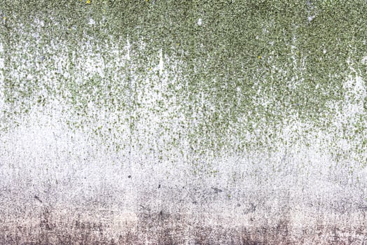 Texture of concrete or plastered wall. photo