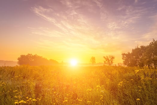 Scene of beautiful sunset at summer field. photo