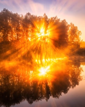 Misty sunrise on the pond in the autumn morning. Trees with rays of the sun cutting through the branches, reflected in the water. photo