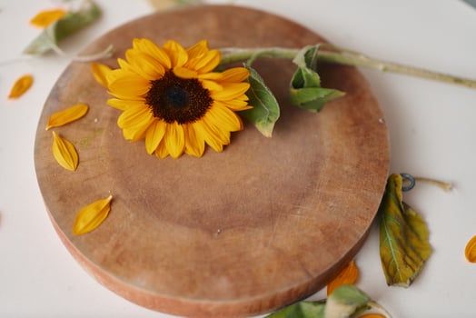 Sunflower Blossom on Rustic Wooden Table. Floral Beauty in Nature's Fresh Season photo