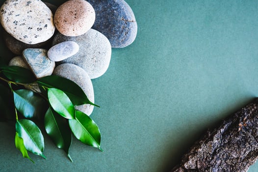 Organic natural background of leaves, tree bark and stones on green top view photo