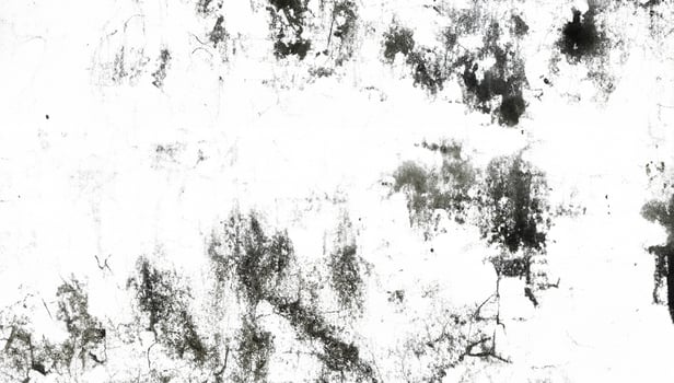 Monochrome Distressed Wall Texture Background photo