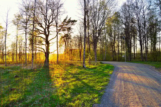 Amazing natural view photo