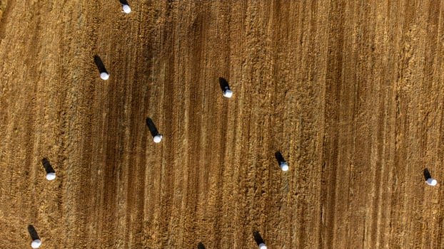 Bales of straw silage dot the vast Alentejo landscapes, capturing the rustic charm of Portugal's countryside. photo