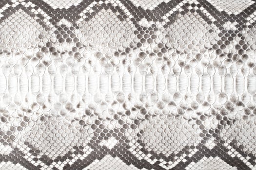 Natural snake skin as a background, black and white python texture photo