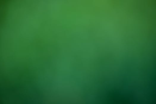 bokeh of green plants, blurred eco background photo