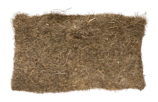 Mat made of jute, hemp and coconut fibers for growing microgreens on an isolated background photo
